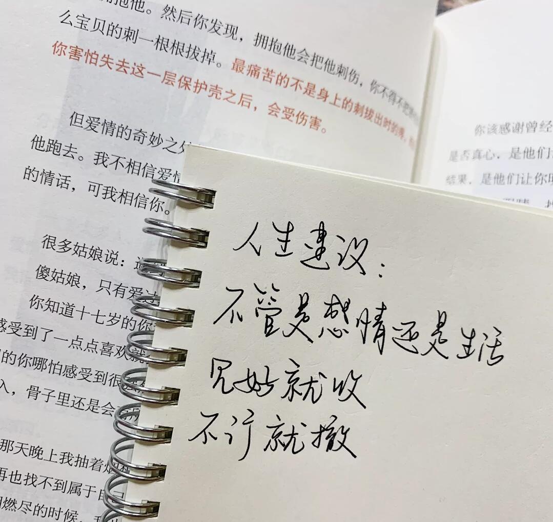 「歌曲分享：爱你的疯子」