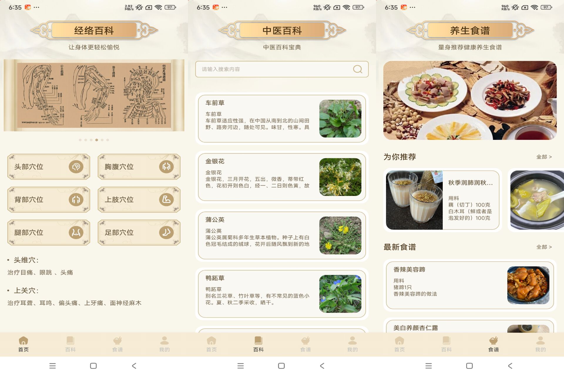 中医经络穴位典籍截图1